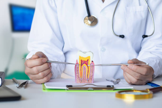 Best Emergency Broken Tooth Repair in Metuchen, NJ